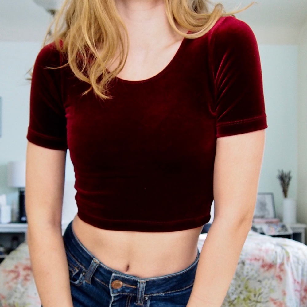 American Apparel Velvet Crop Top